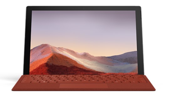 苏尼特左清洁和维护 Surface